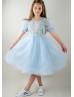 Baby Blue Embroidery Tulle Chic Flower Girl Dress